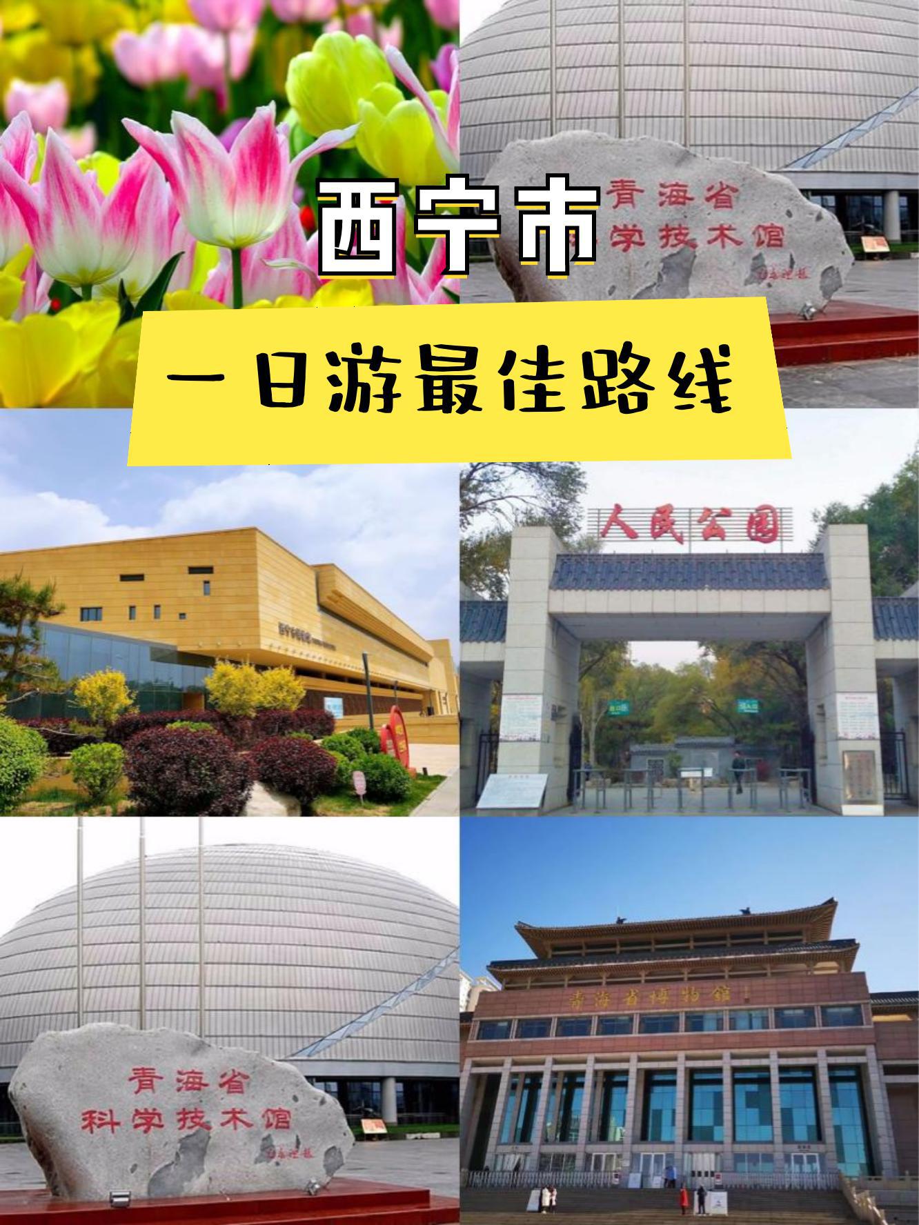 具体行程路线来95 西宁市人民公园97青海省科学技术馆97西宁市