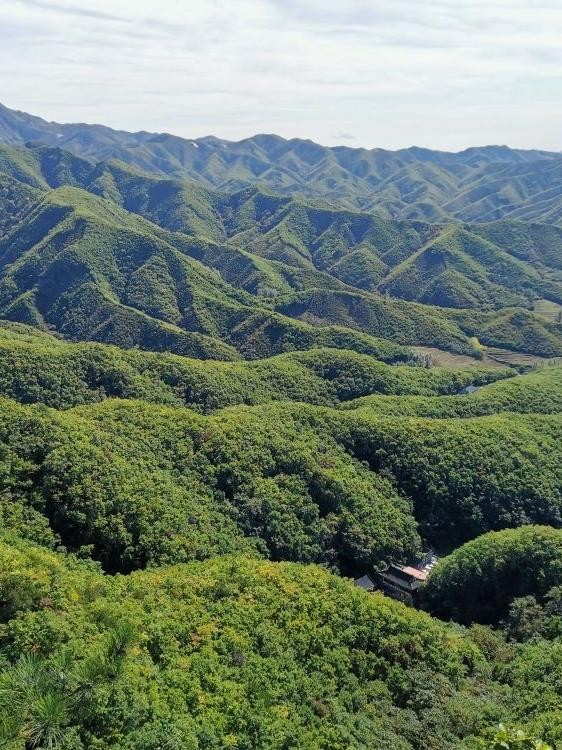 辽东松山图片