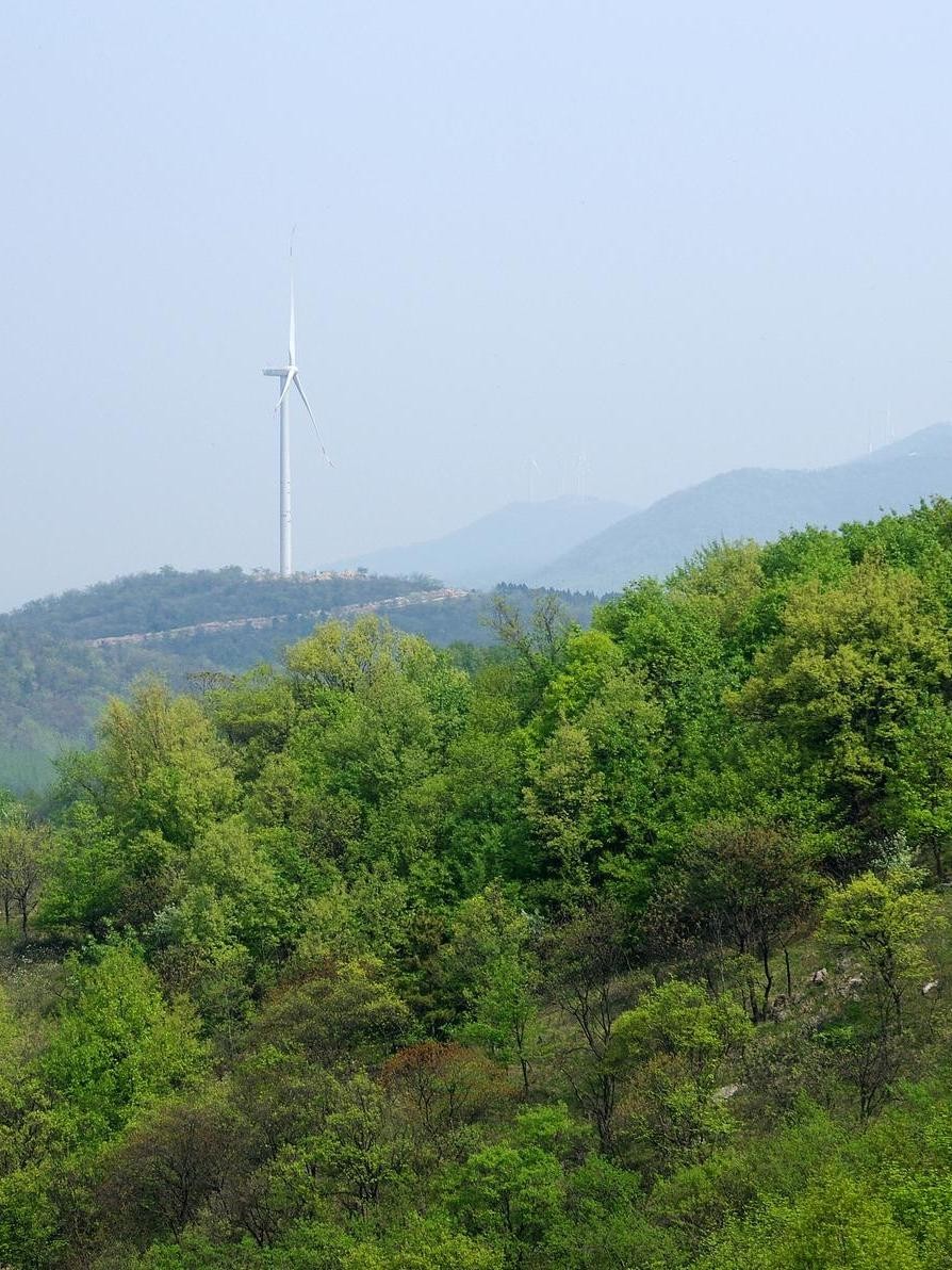 淮南八公山滑草场图片