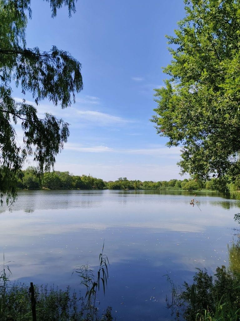 芜湖西湖湿地公园图片