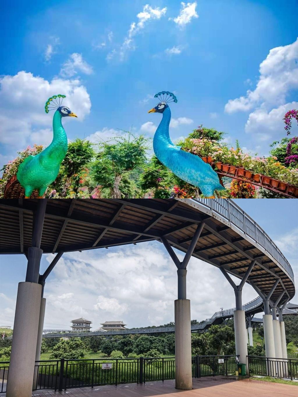 高州粤龙山风景区介绍图片