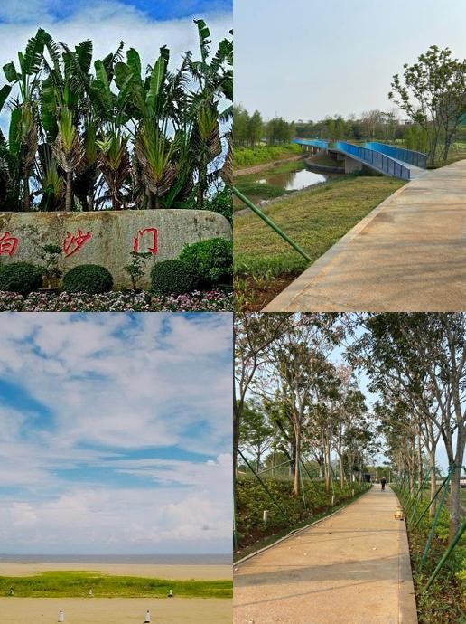 海南和平城市广场图片