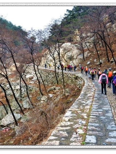 泰山锦绣谷风景区门票图片