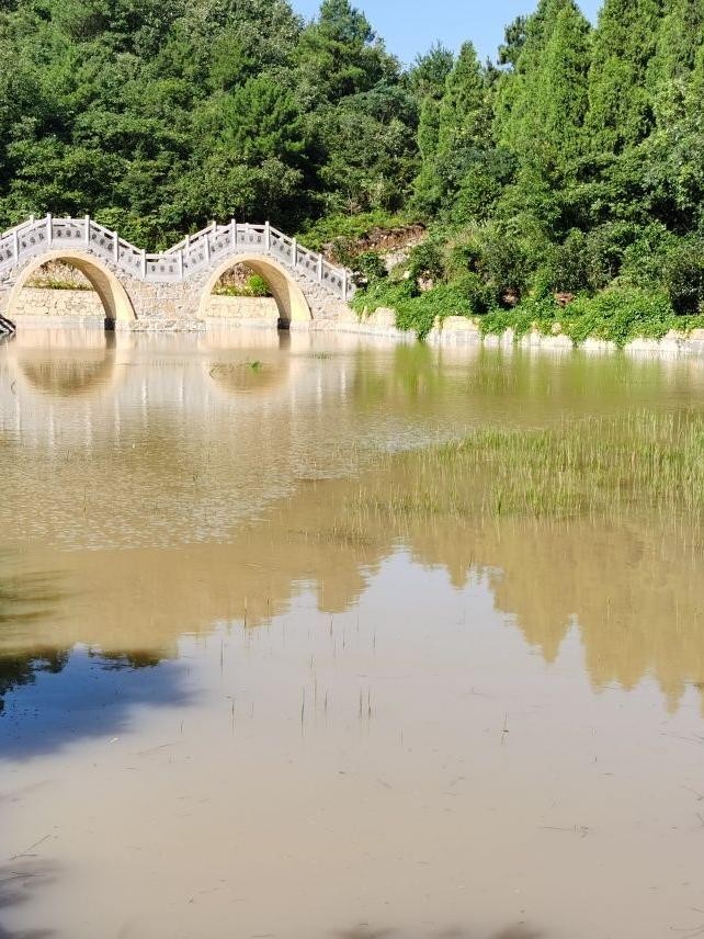 渠县賨花寨景区图片图片