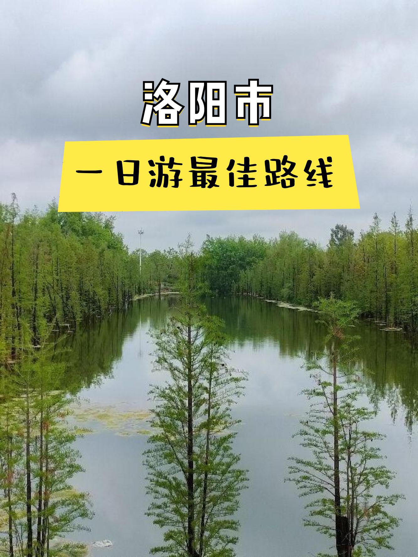 洛阳伊河湿地公园门票图片