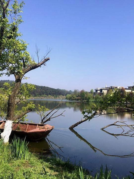 阅山湖湿地公园门票图片