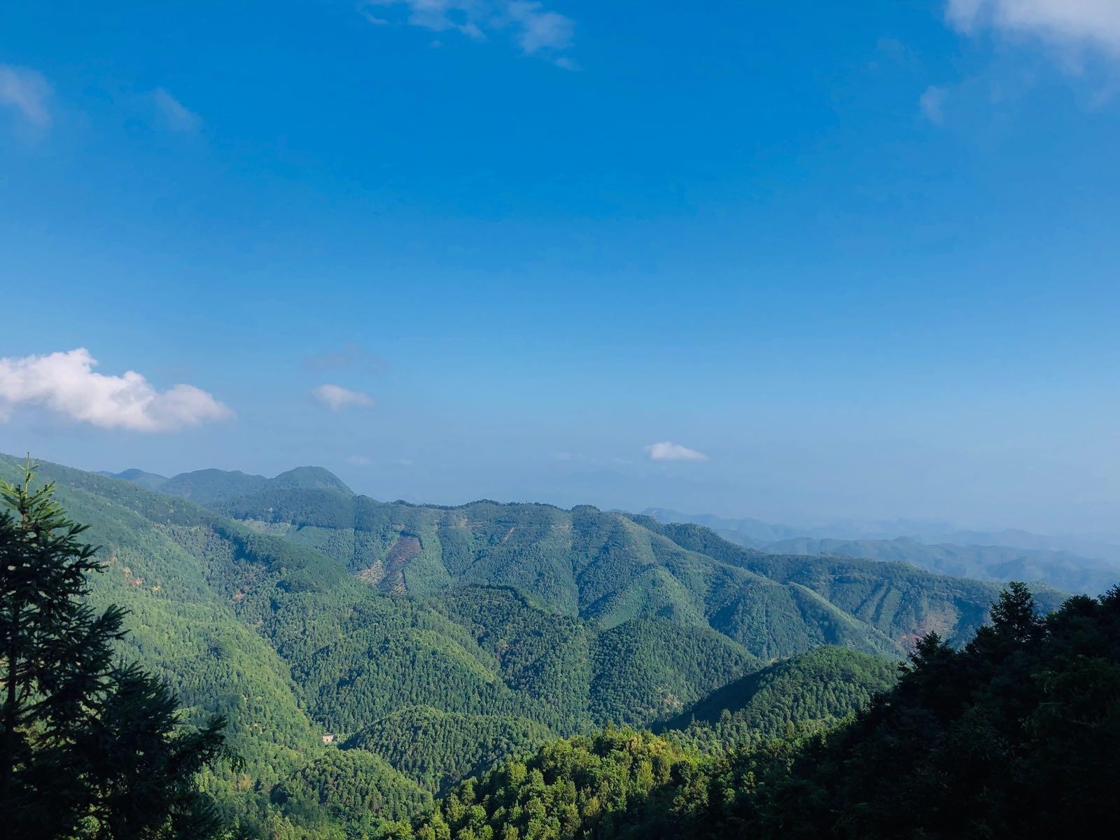 六万林场莲花山图片