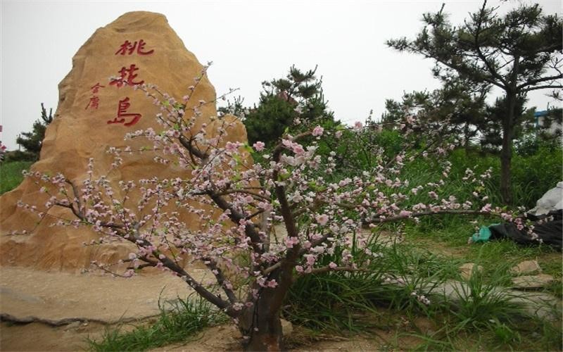 日照市桃花岛简介图片