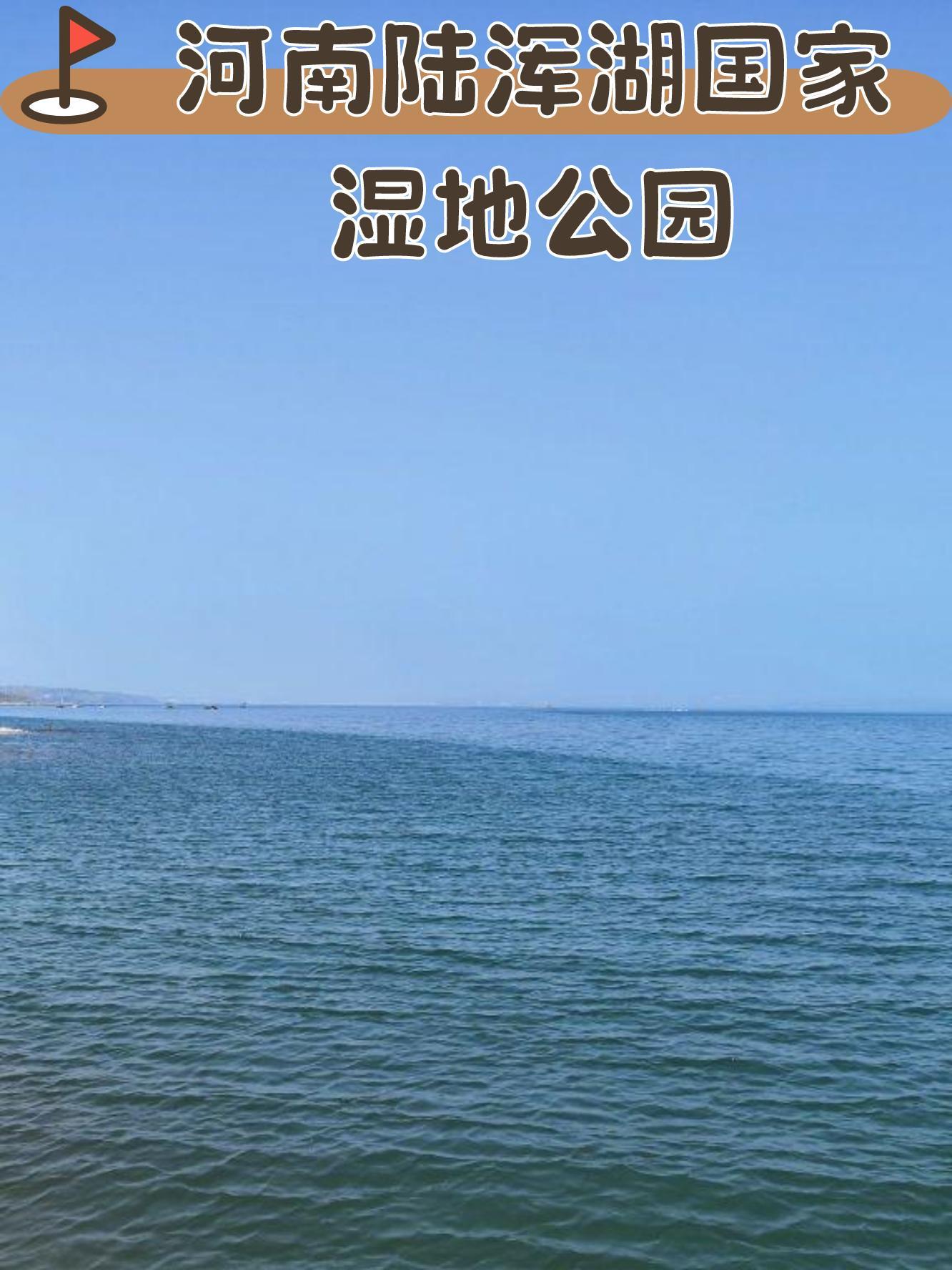 洛阳伊滨区湿地公园图片