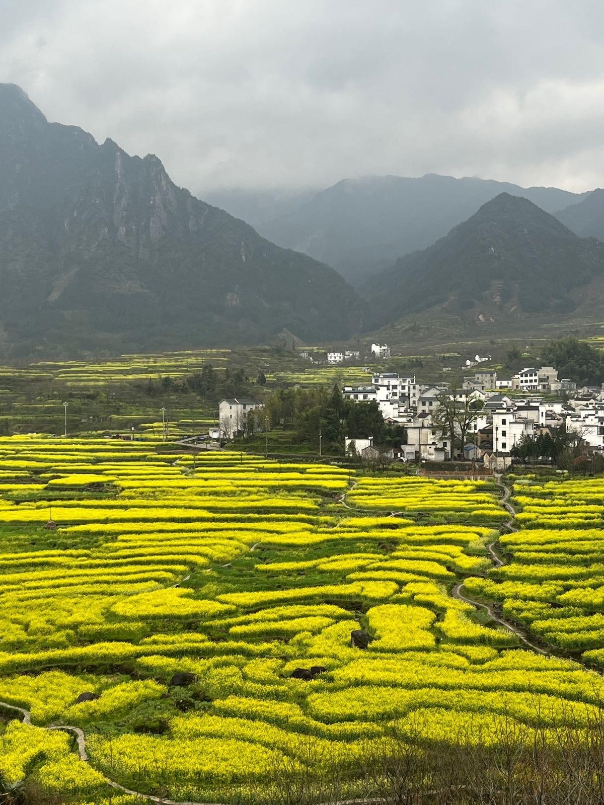 梅岭观景台图片