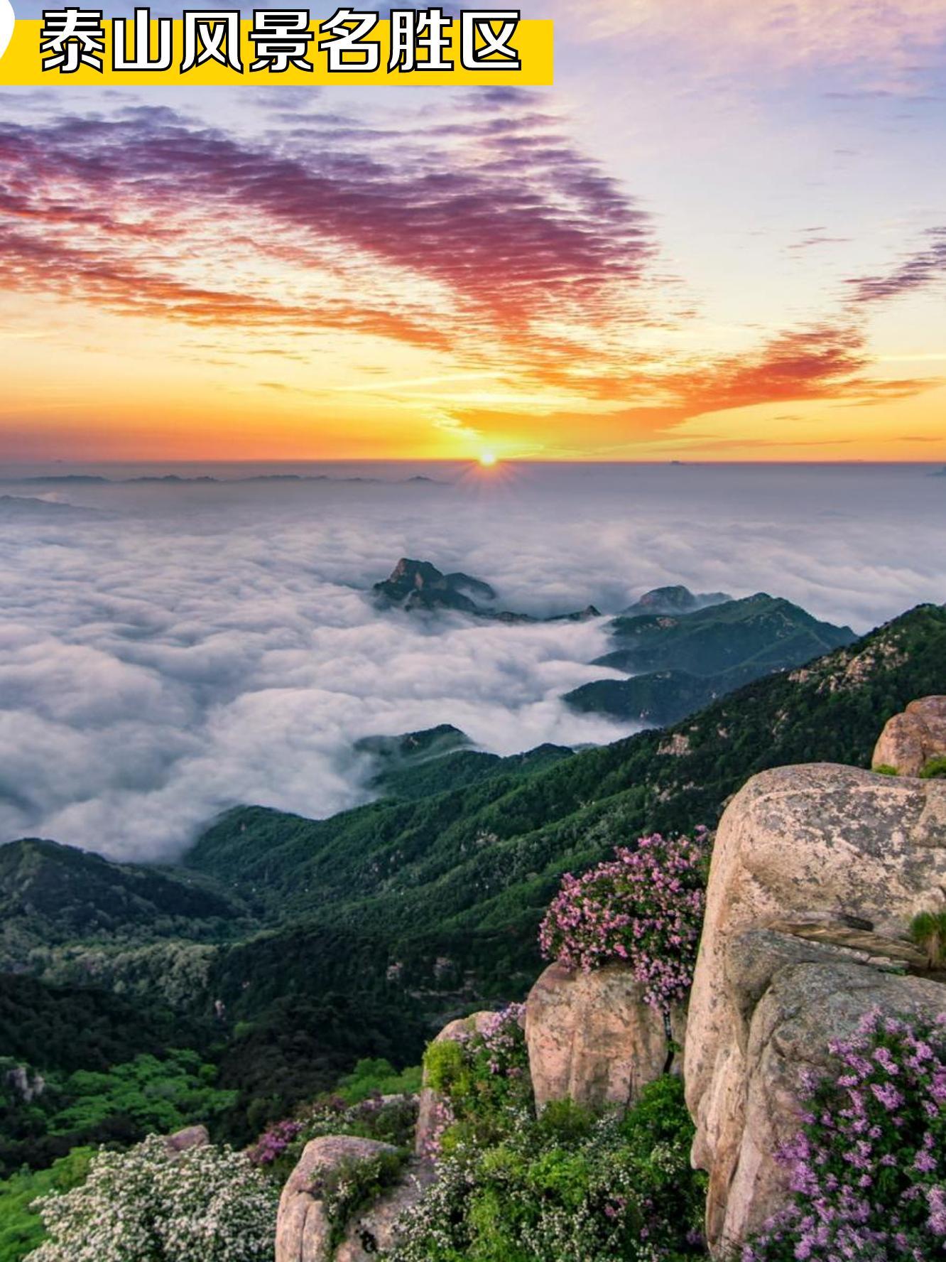 具体行程路线 泰安方特欢乐世界  泰山风景名胜区  见子山景区 泰安方