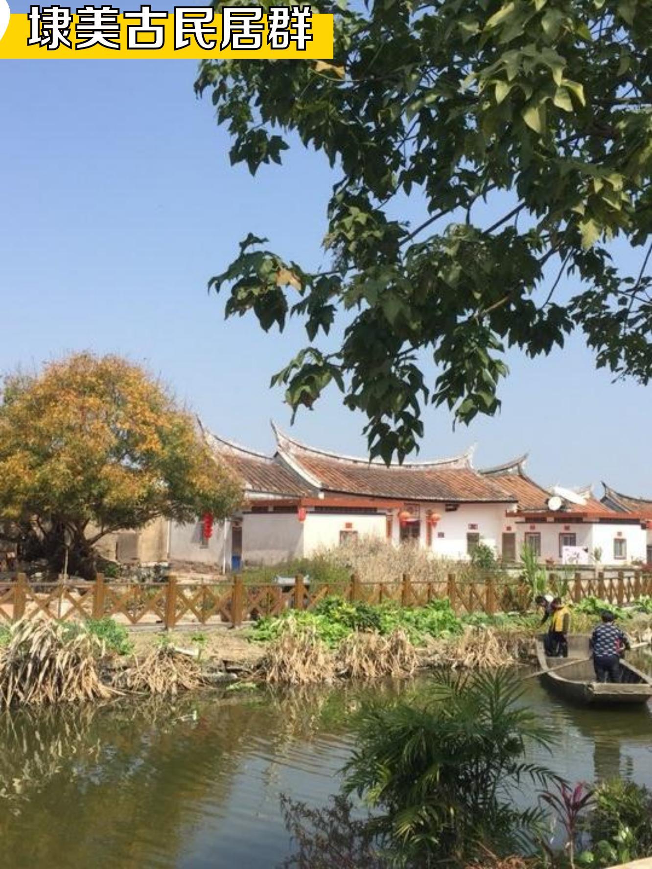 福建石岩植物园门票图片