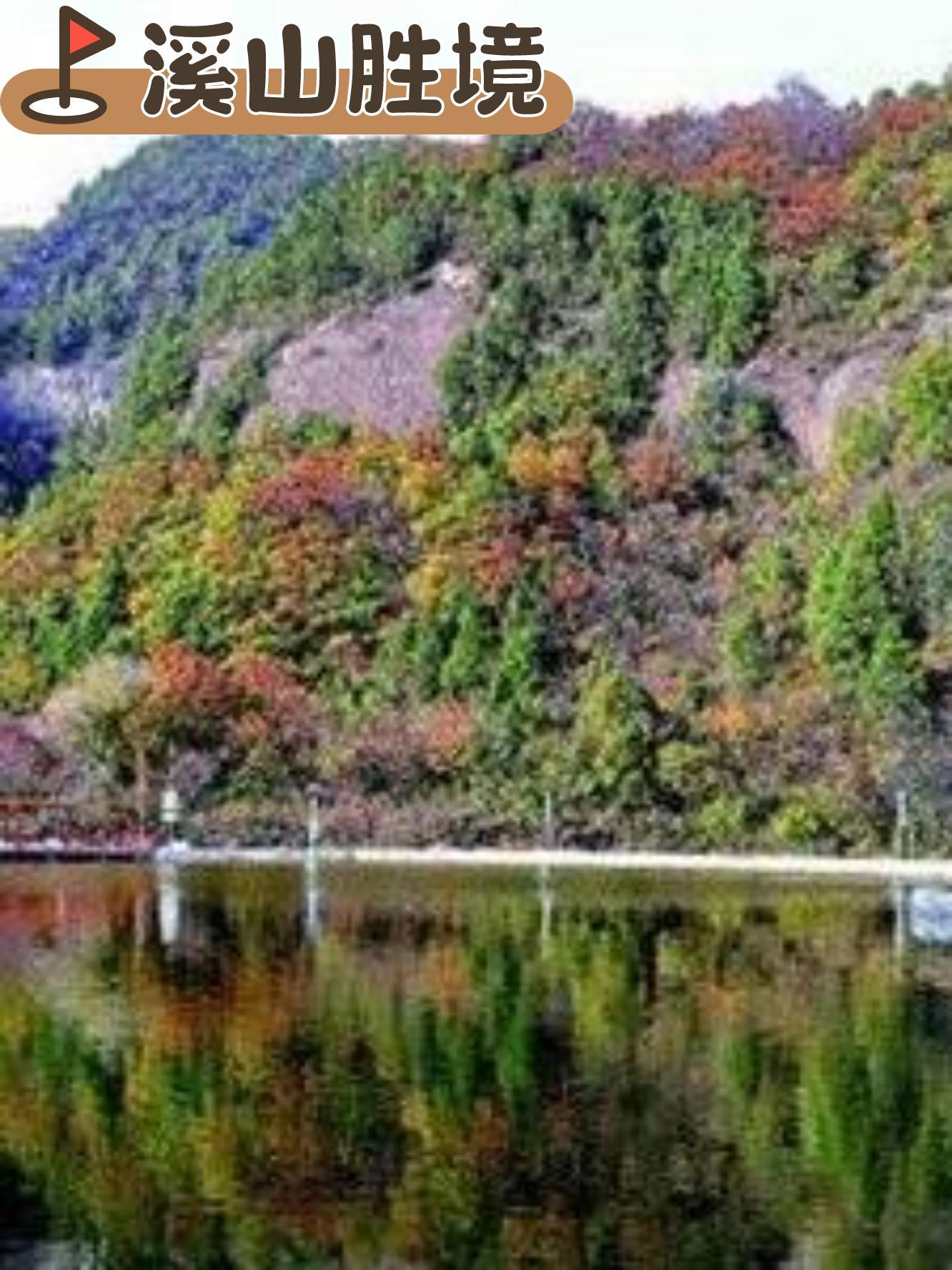 铜川照金香山一日游图片