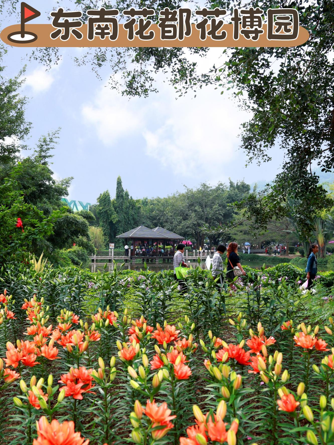 漳州东南花都研学基地图片