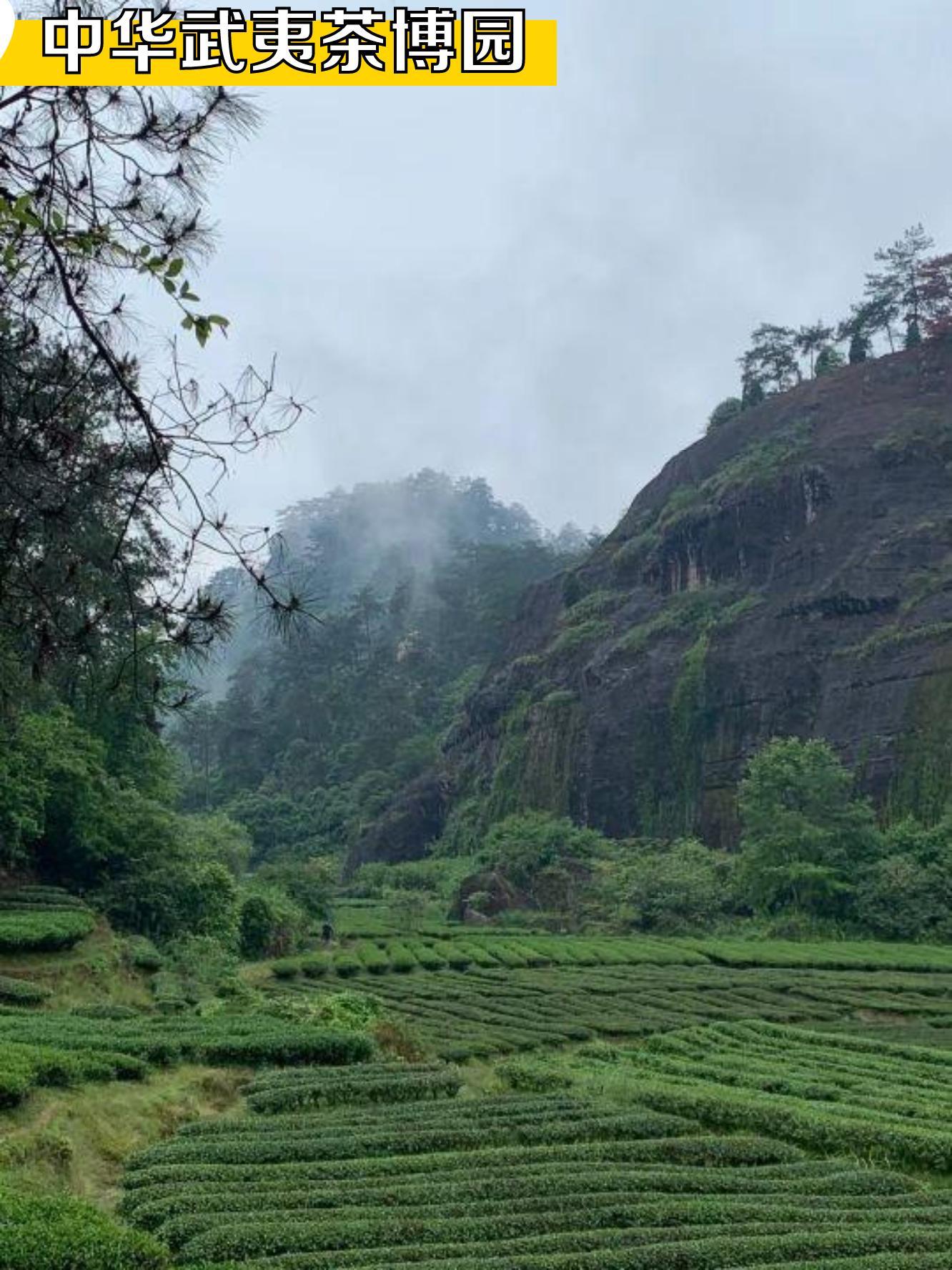 武夷山齐云峰景区介绍图片