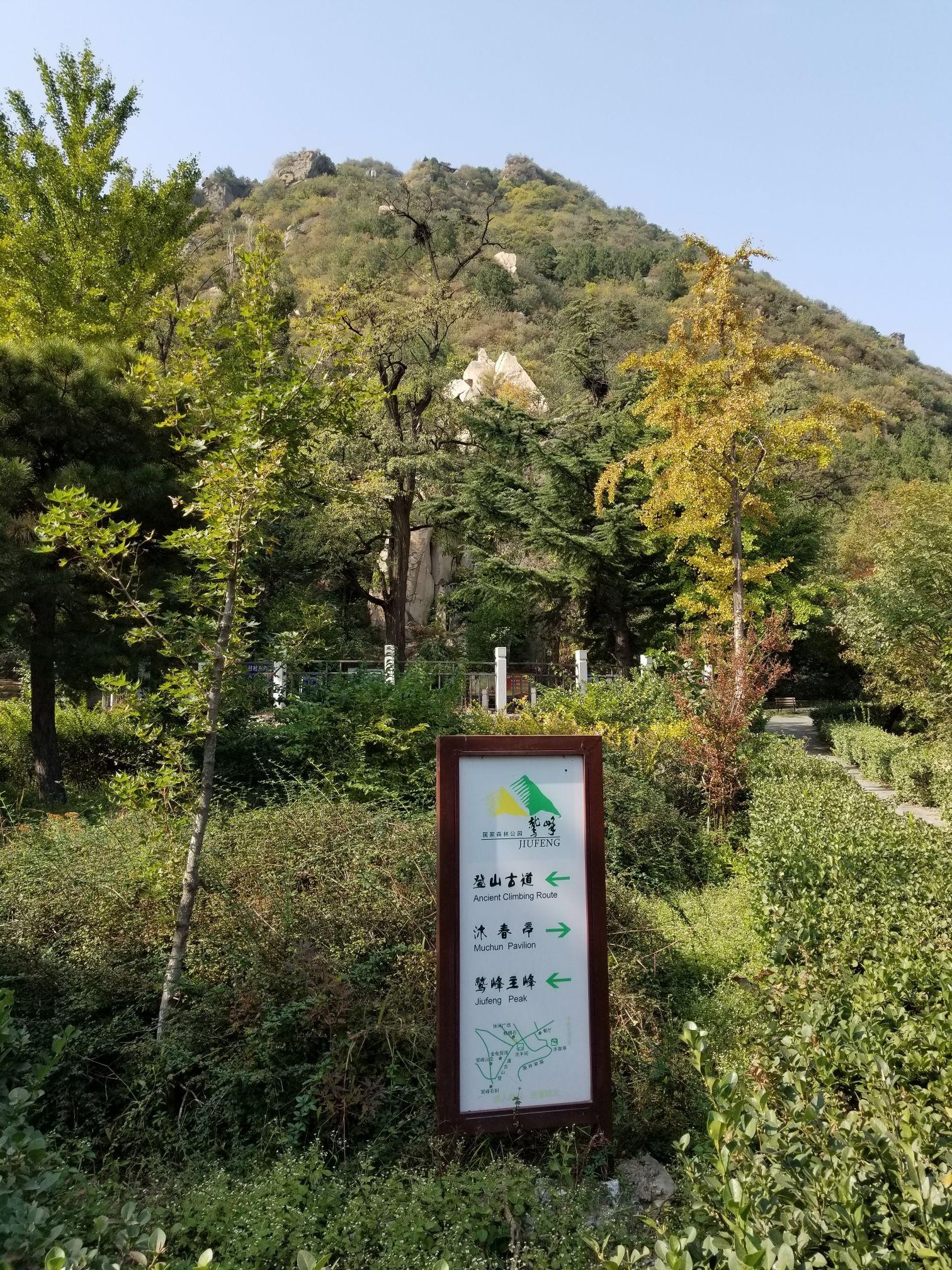 鹫峰山森林公园图片