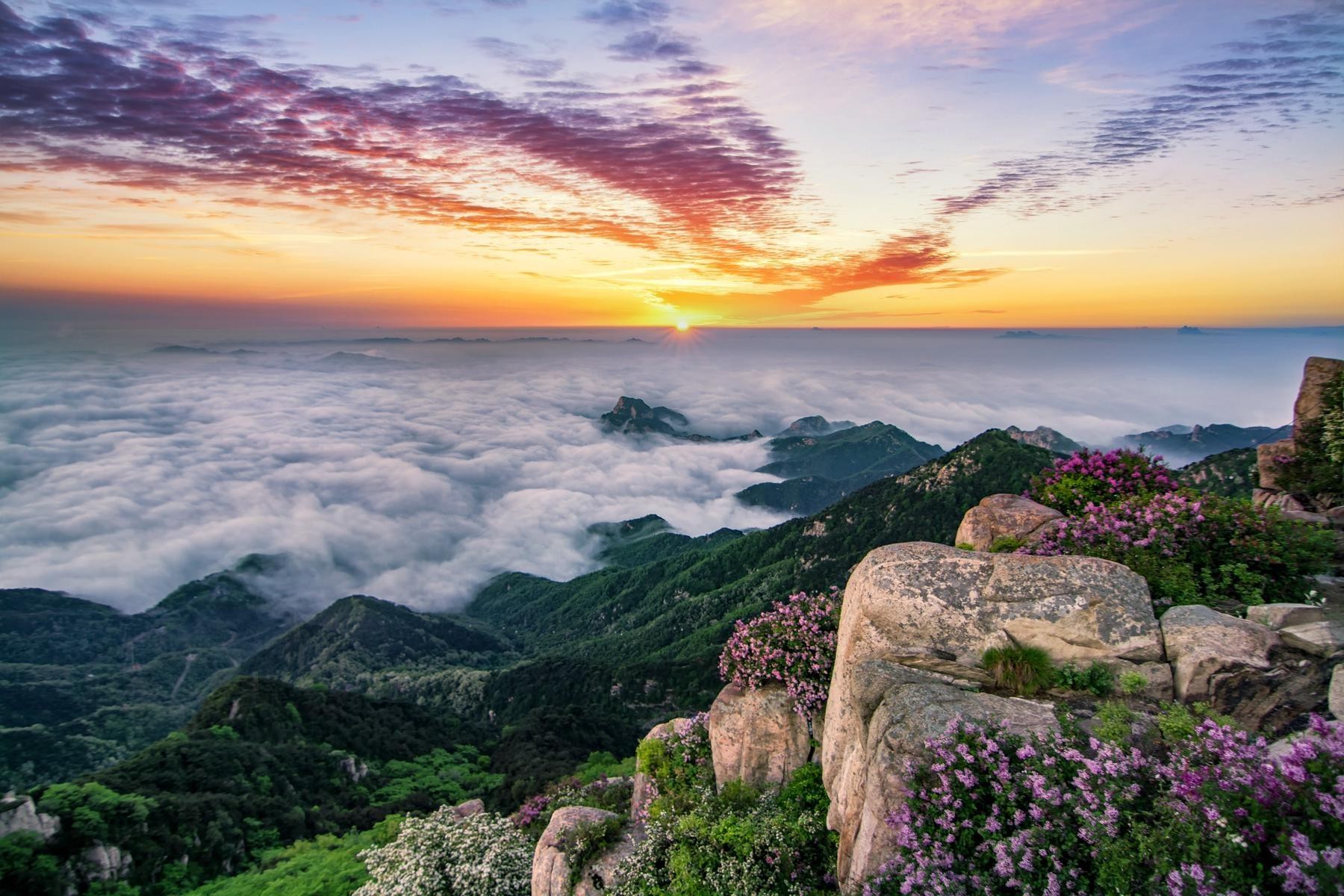 泰山旅游真实图片图片