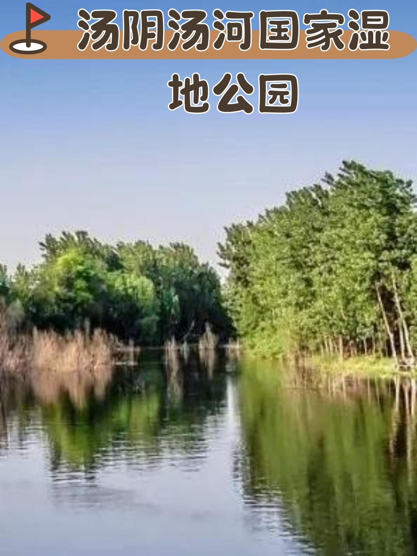 安阳汤河森林公园图片