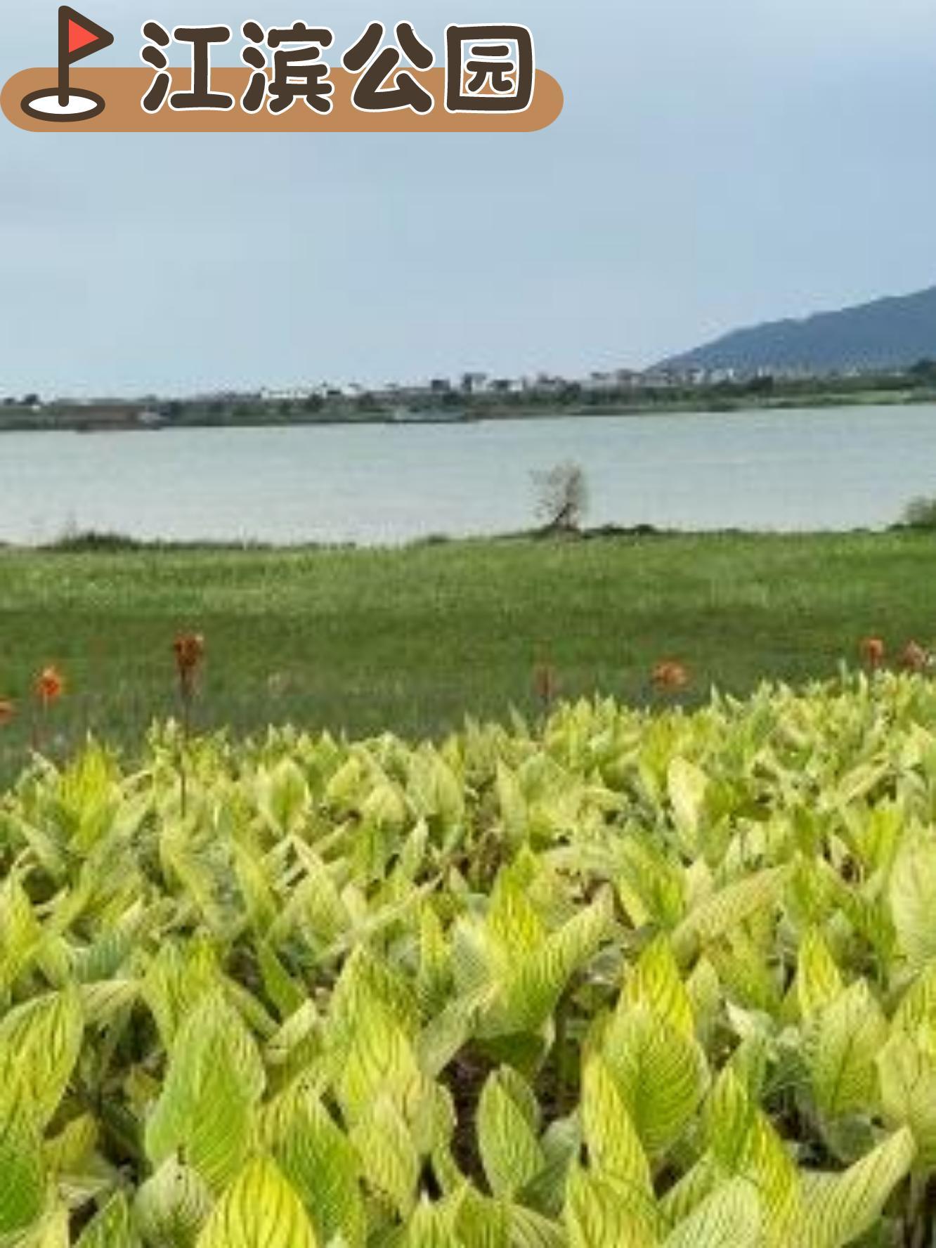 肇庆湿地公园简介图片