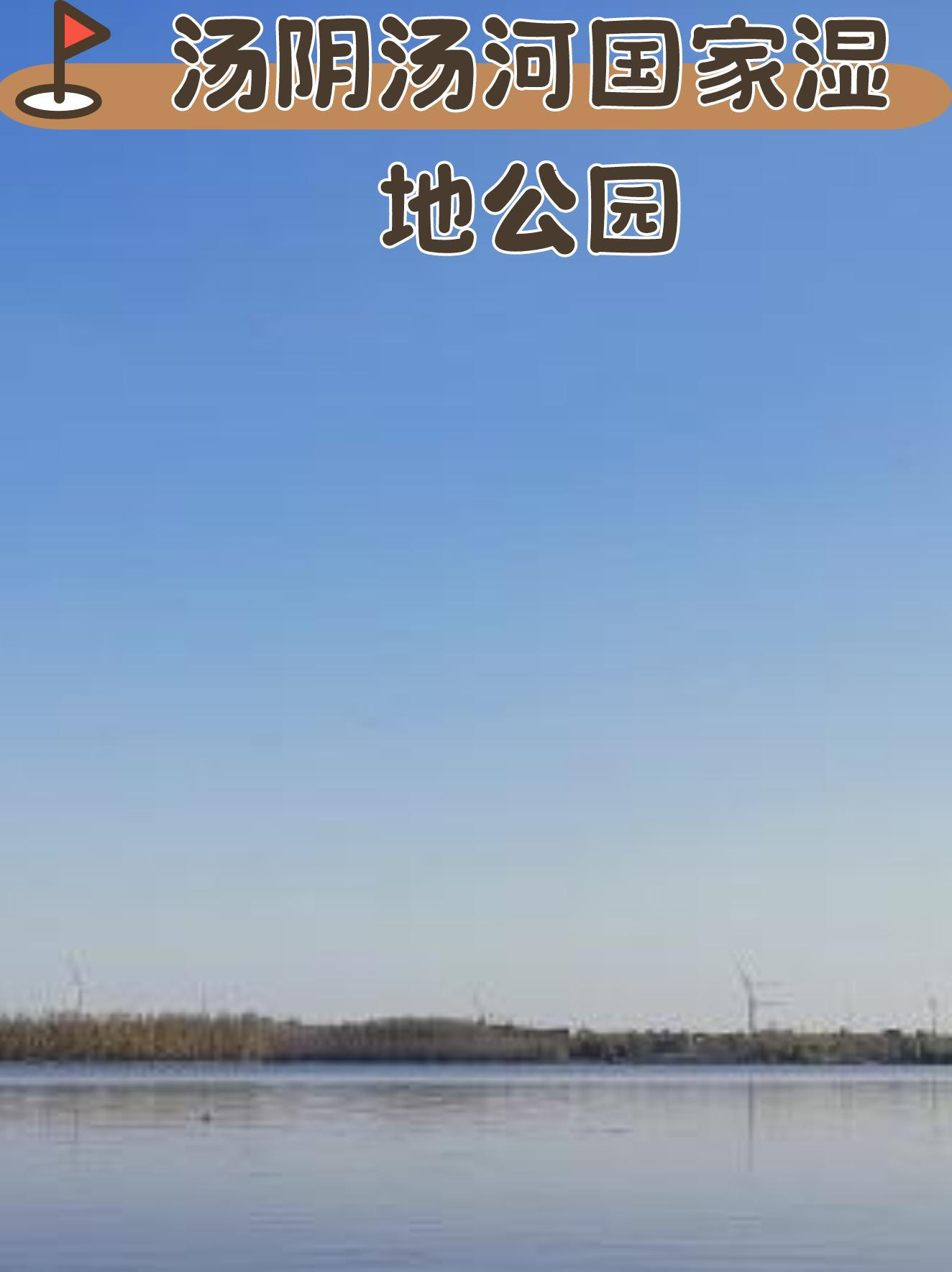 安阳汤河森林公园图片