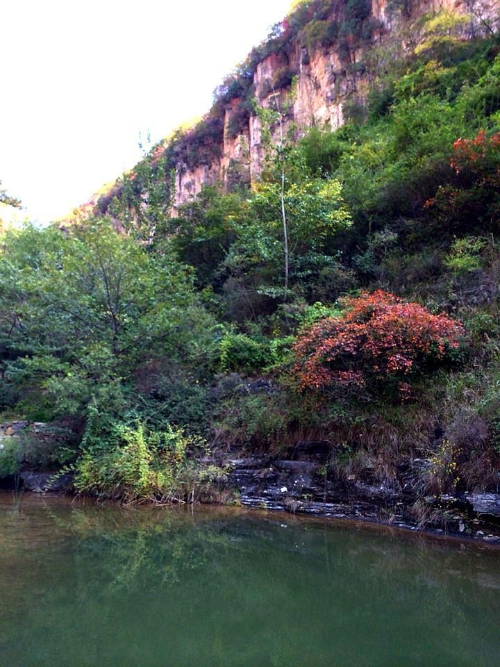 淄川牛角岭旁边景区图片