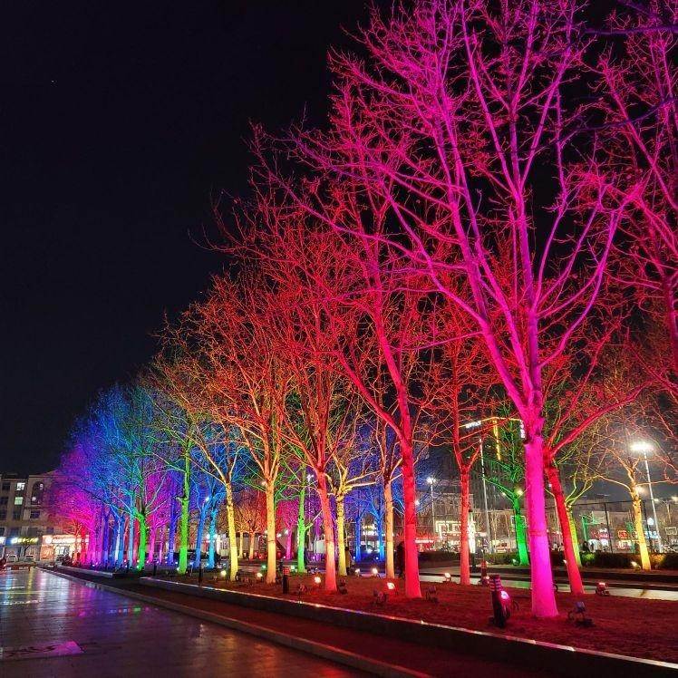 东营市夜景图片