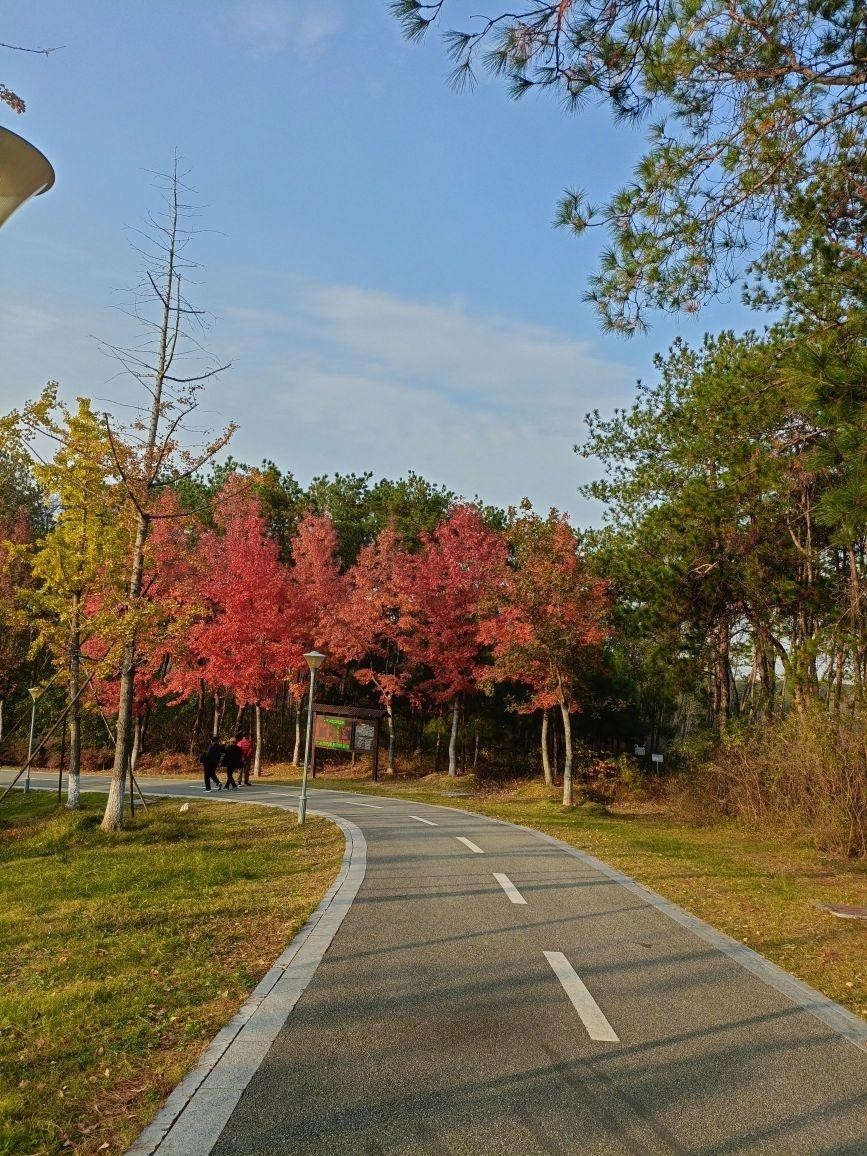 印台山公园  三潭省级风景名胜区  广水市大贵寺国家森林公园 印台山