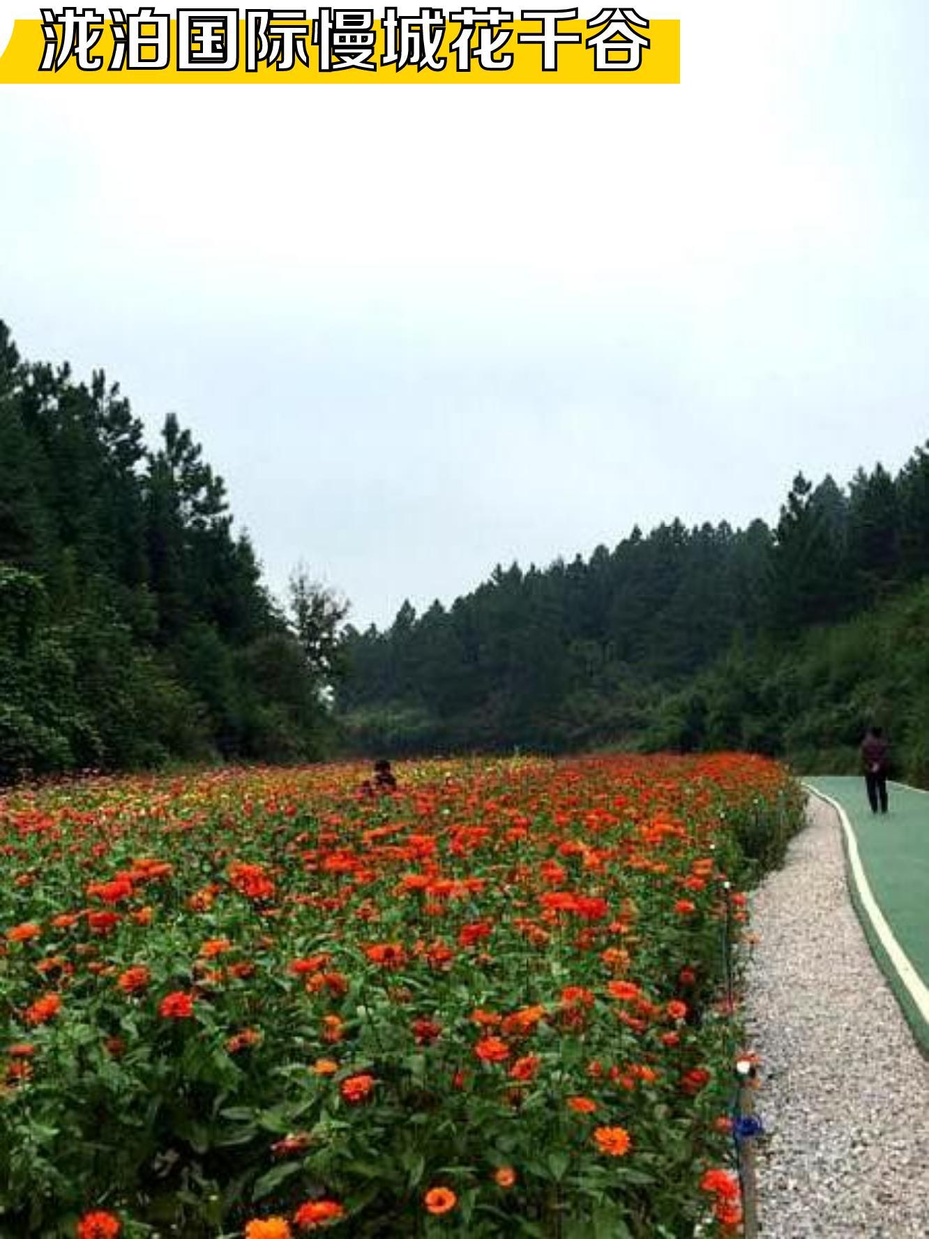 永州花千谷景区图片