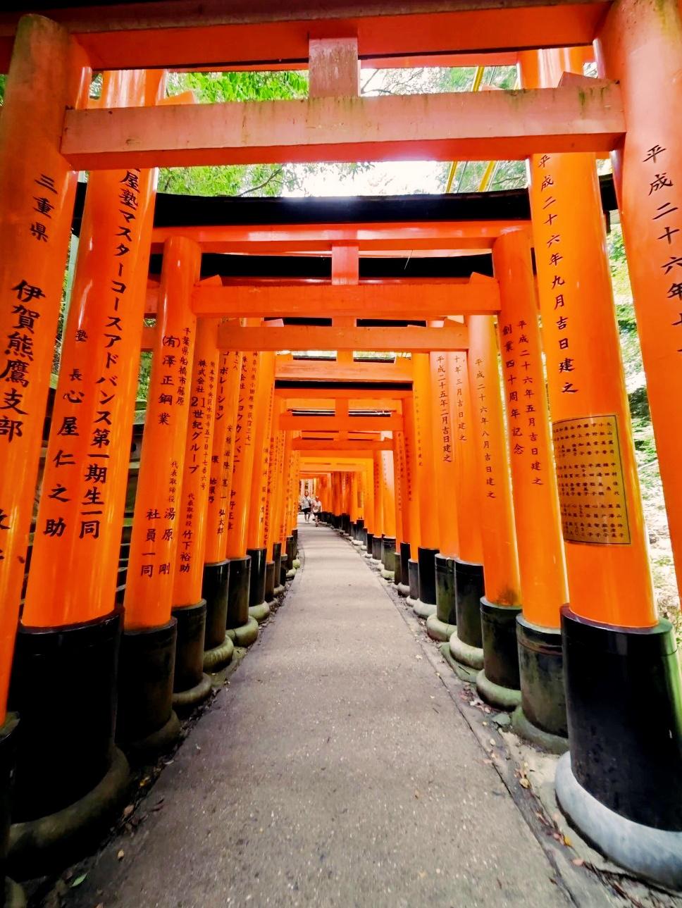 整理的日本必打卡热门旅游景点攻略,一篇游遍所有景点的攻略来啦!