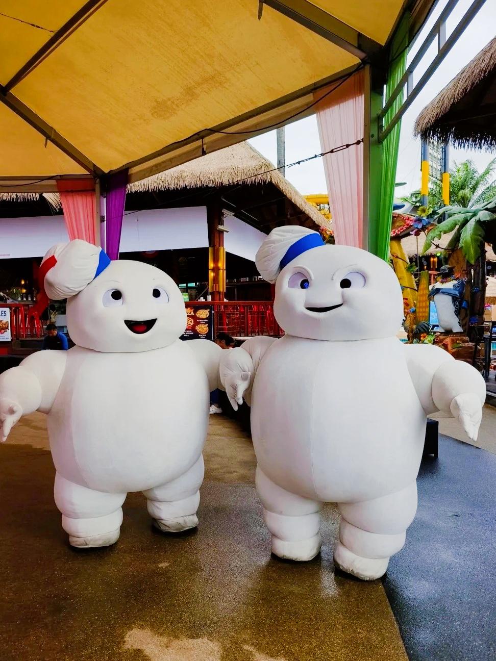 曾多次踏足泰国,每次必定会来到泰国的各个城市探索