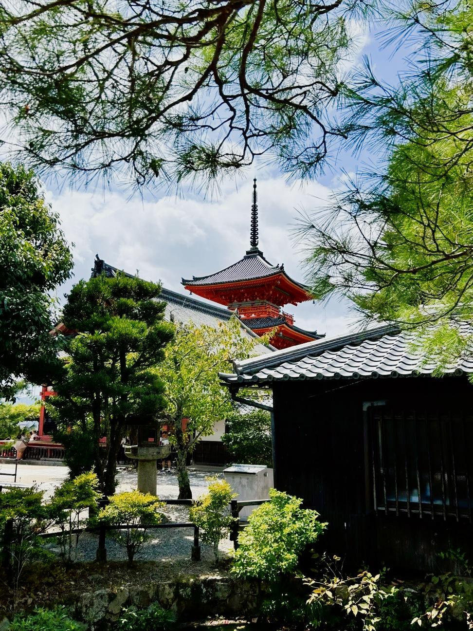 第一次来到日本,选择了大阪和京都这两座城市,感受到了浓厚的日本文化