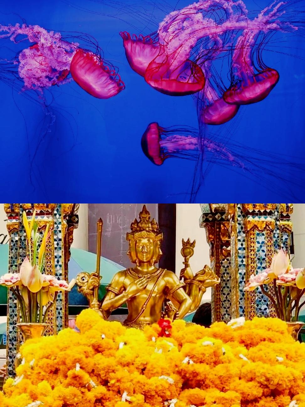 关于泰国超度灵吗的信息 关于泰国超度灵吗的信息