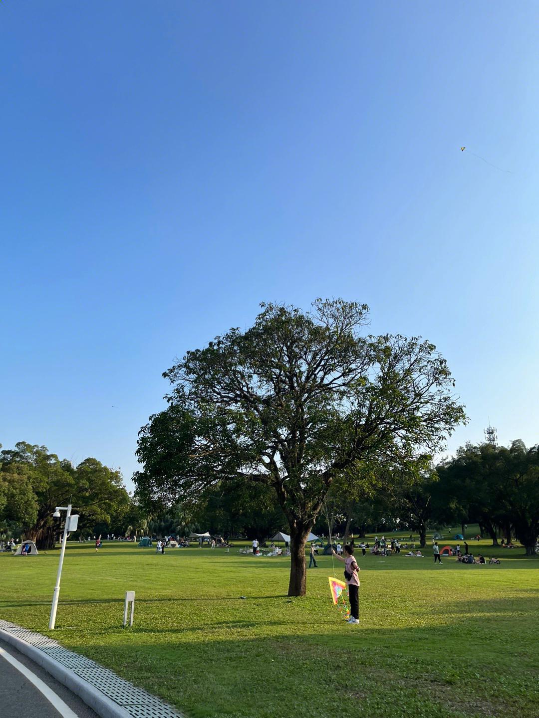 东莞植物园一日游图片