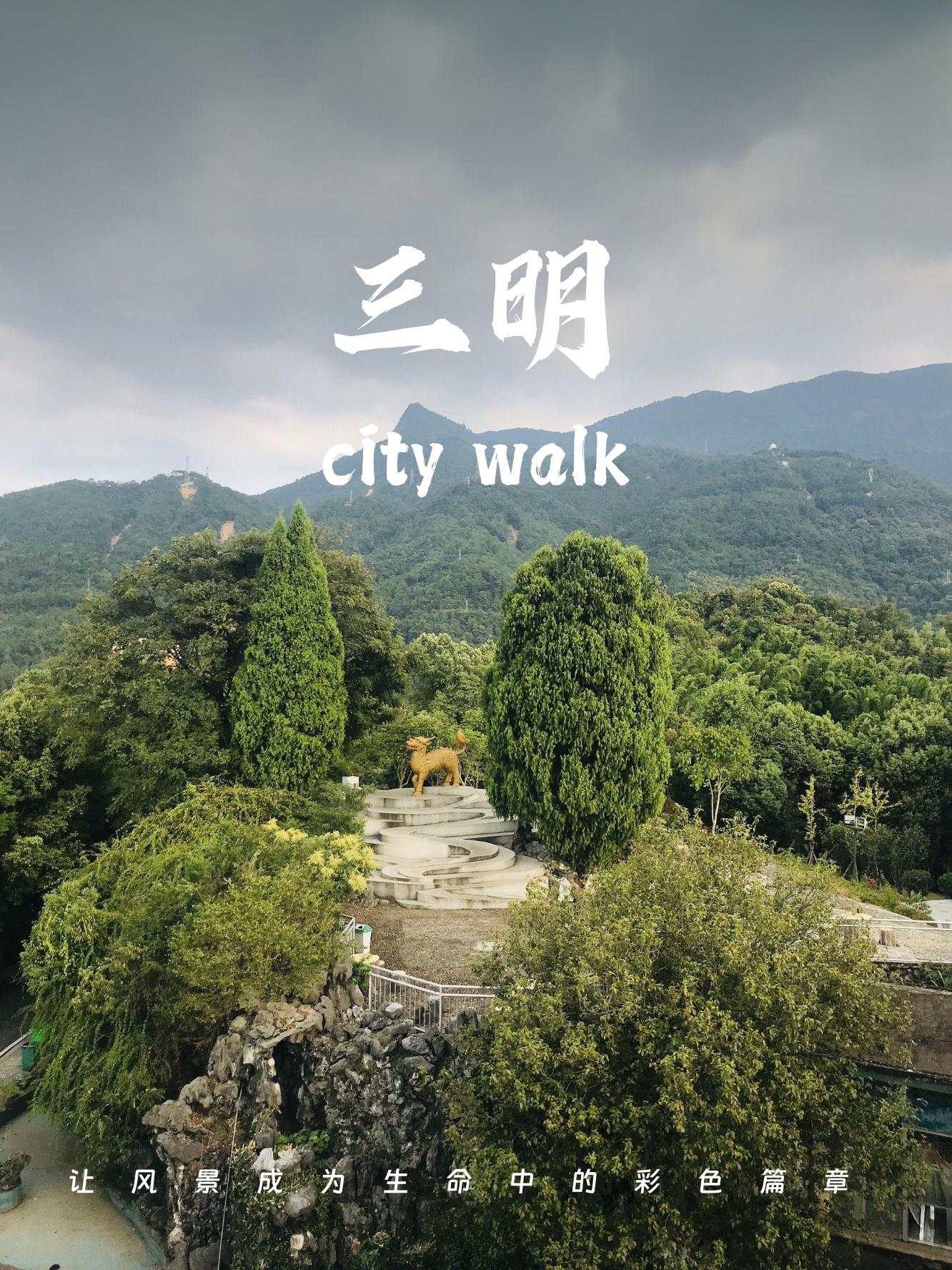 三明拍抖音=福建三明市抖音网红