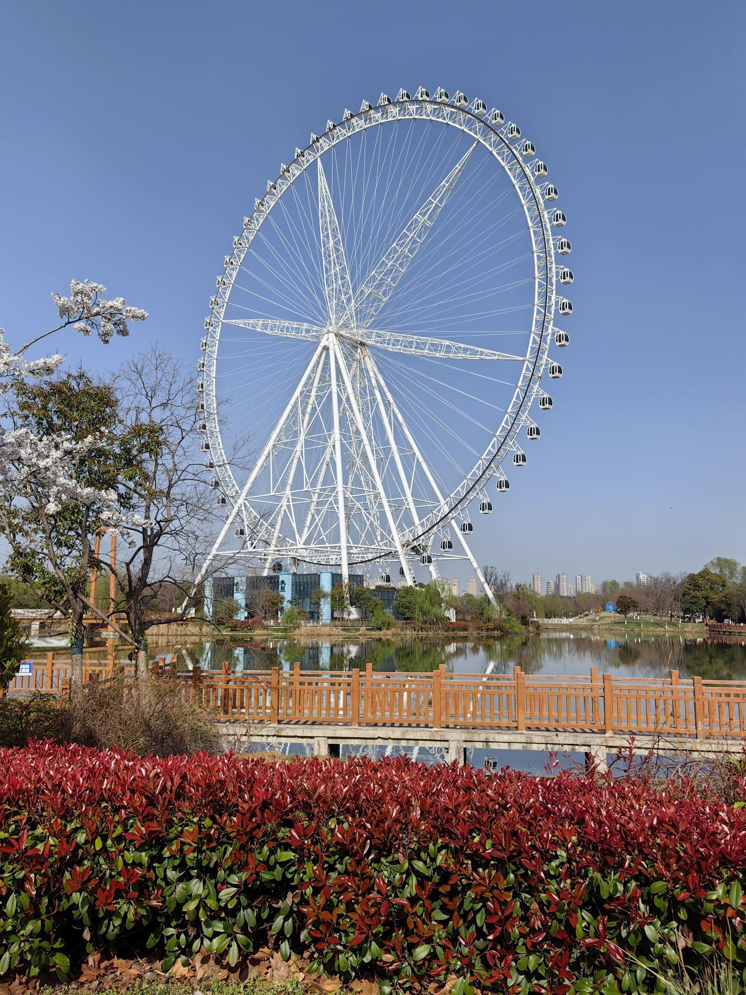 阜阳1日游|探索生态乐园 文化地标奎星楼!🌳🏯