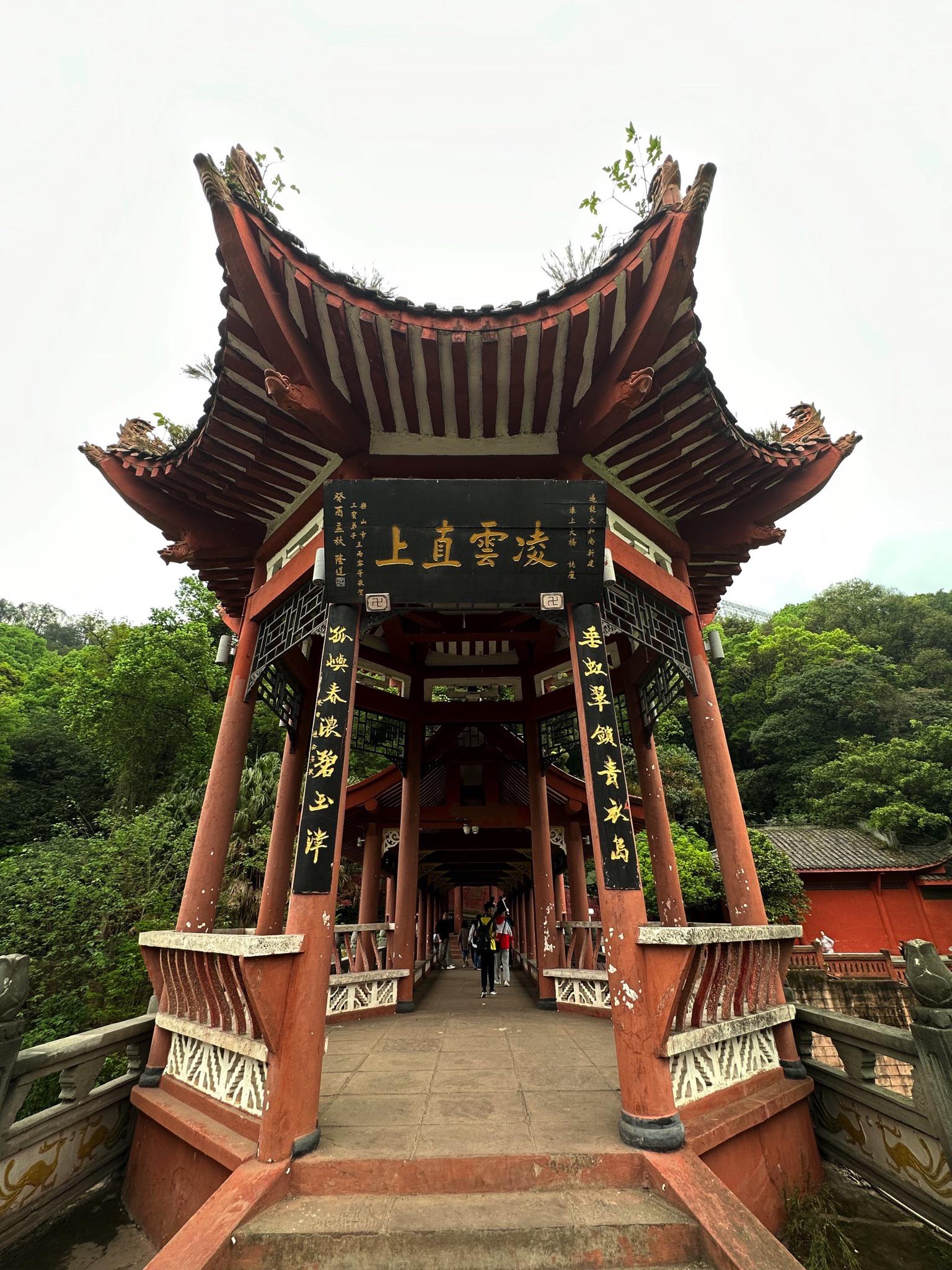 保姆级攻略6015乐山城市1日游