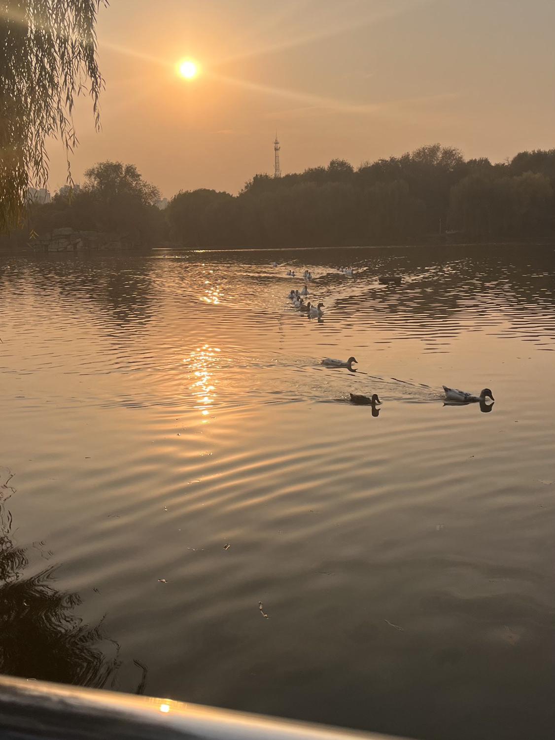 🔥邢台历史文化公园,达活泉公园🏞️一日游👣