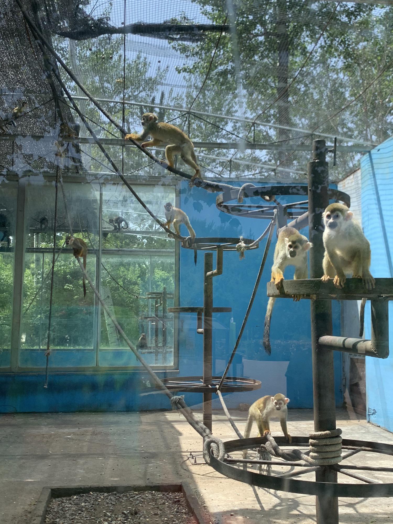 秦皇岛一日游行程安排95:秦皇岛野生动物园7915东山公园79