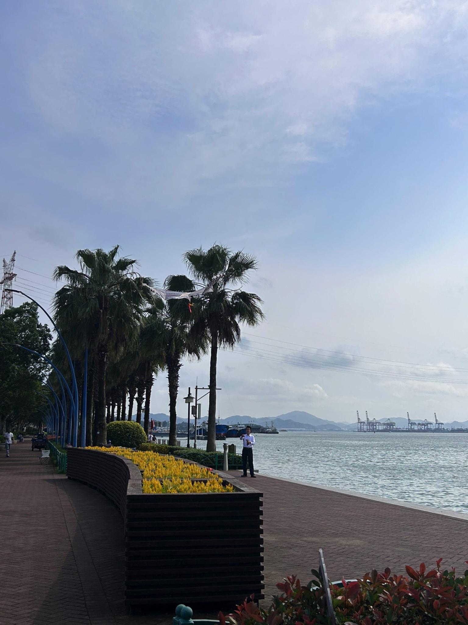 厦门1日游|打卡海湾公园 十里长堤,尽享悠闲时光!