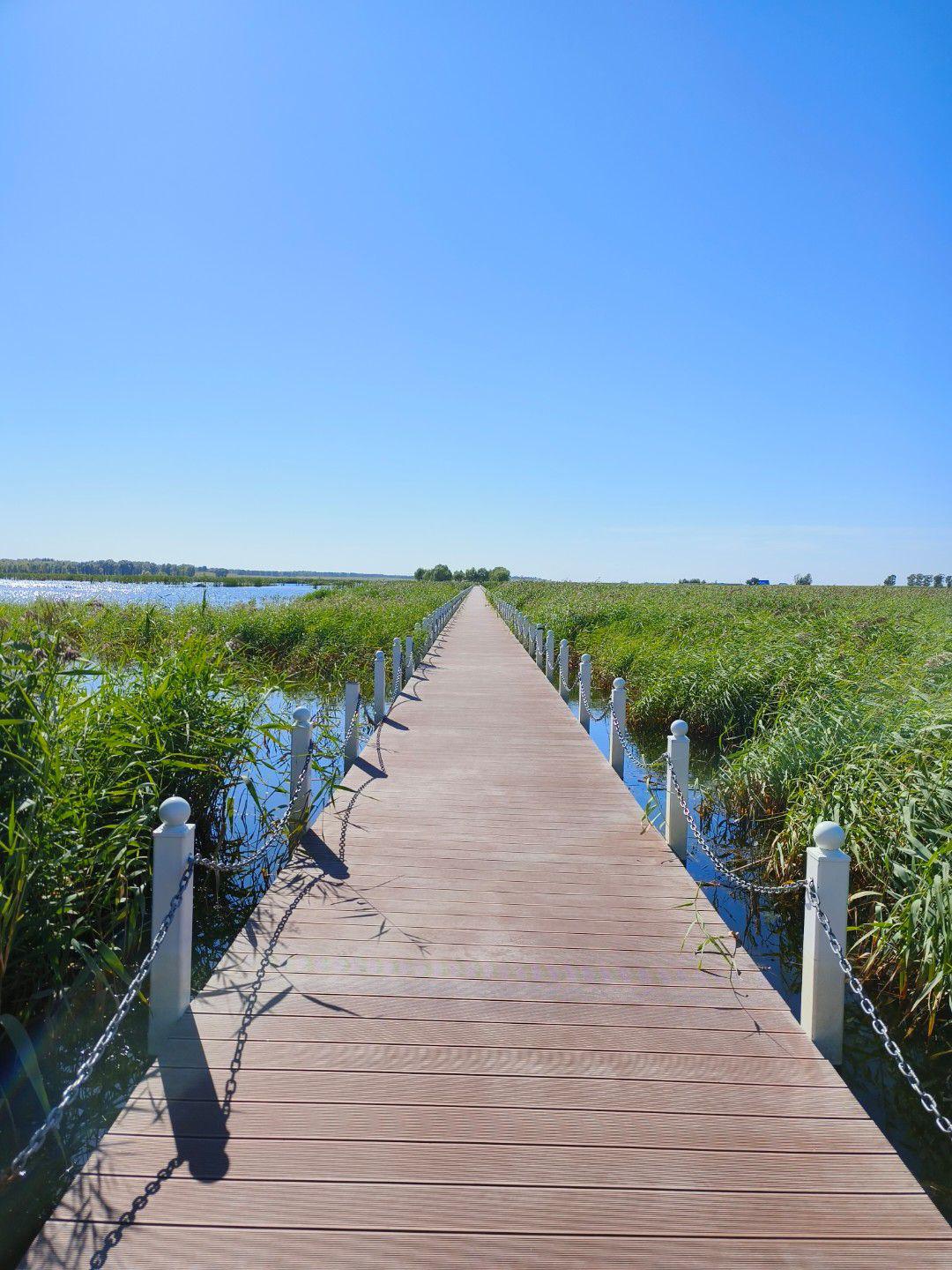 白城市1日游,探索自然之美🌿✨