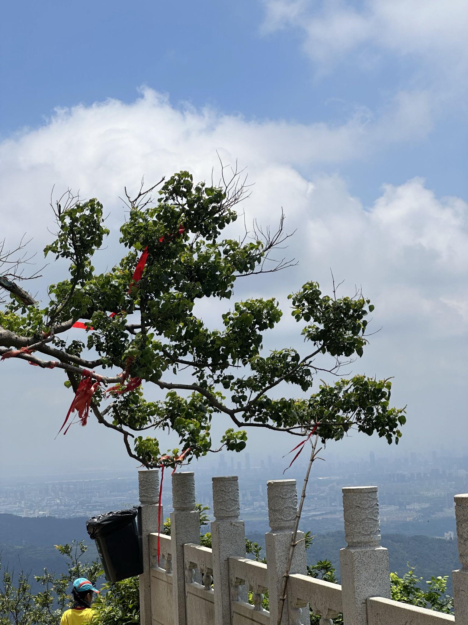 97南昌怪石岭,梅岭,秋水广场9015一日游93