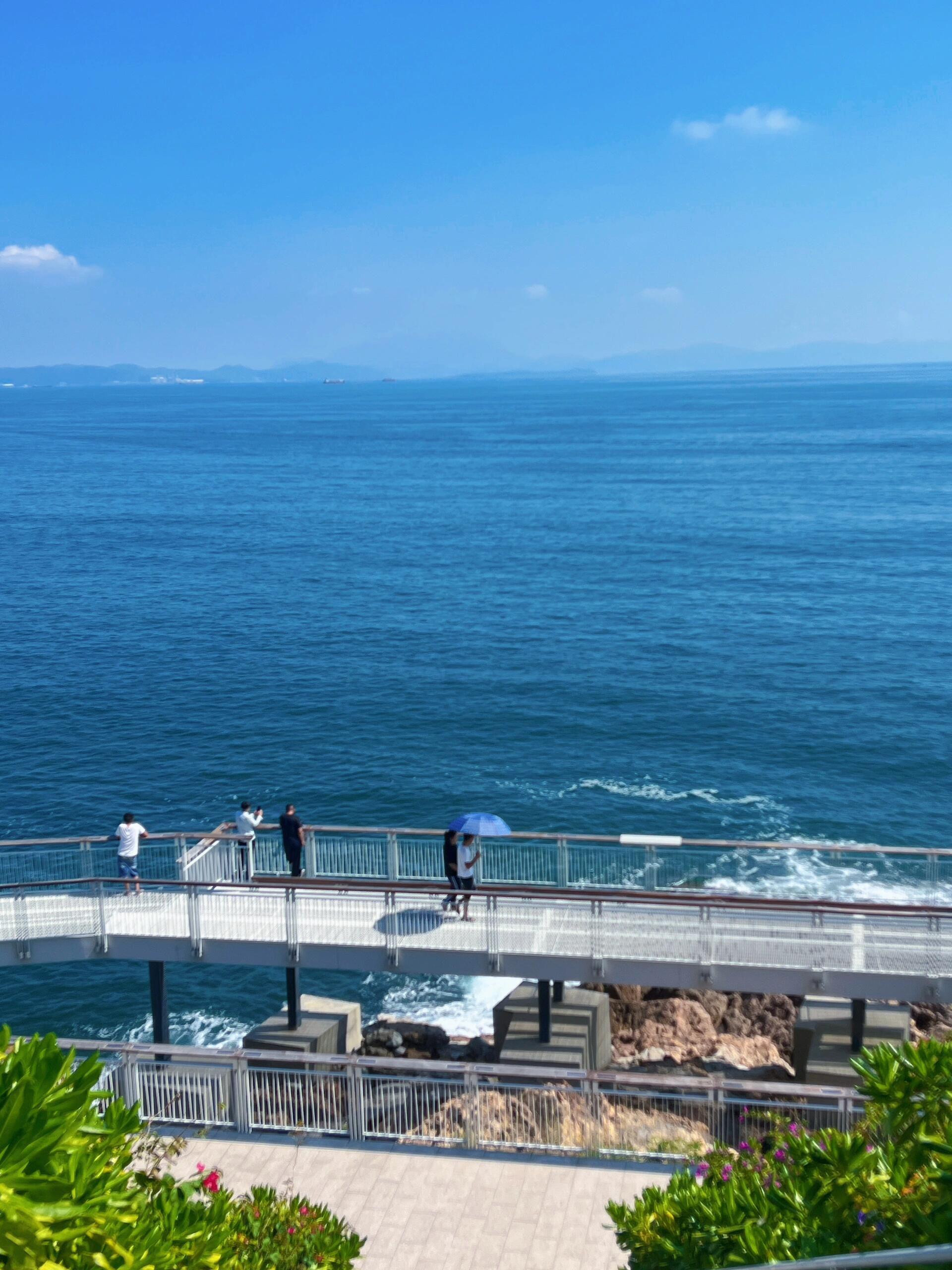 深圳|一日游深圳,海天一色的美好时光🏖️ 最近在深圳待了一天