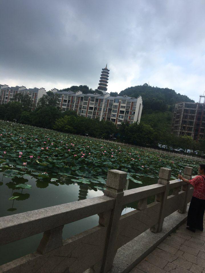 常德一日游景点自驾游图片