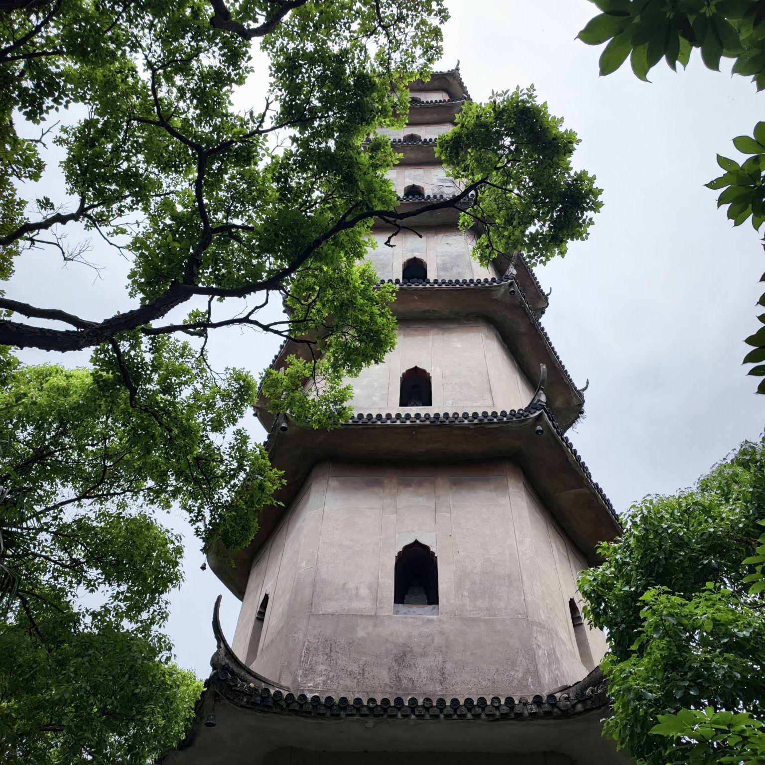 温州有什么好玩的景点吗(温州有什么好玩的地方吗景区)