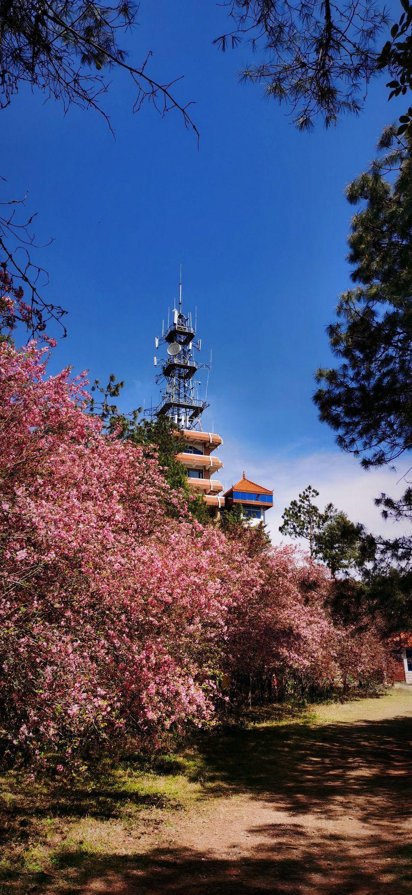 楚雄一日游最佳景点=楚雄一日游最佳景点一览表