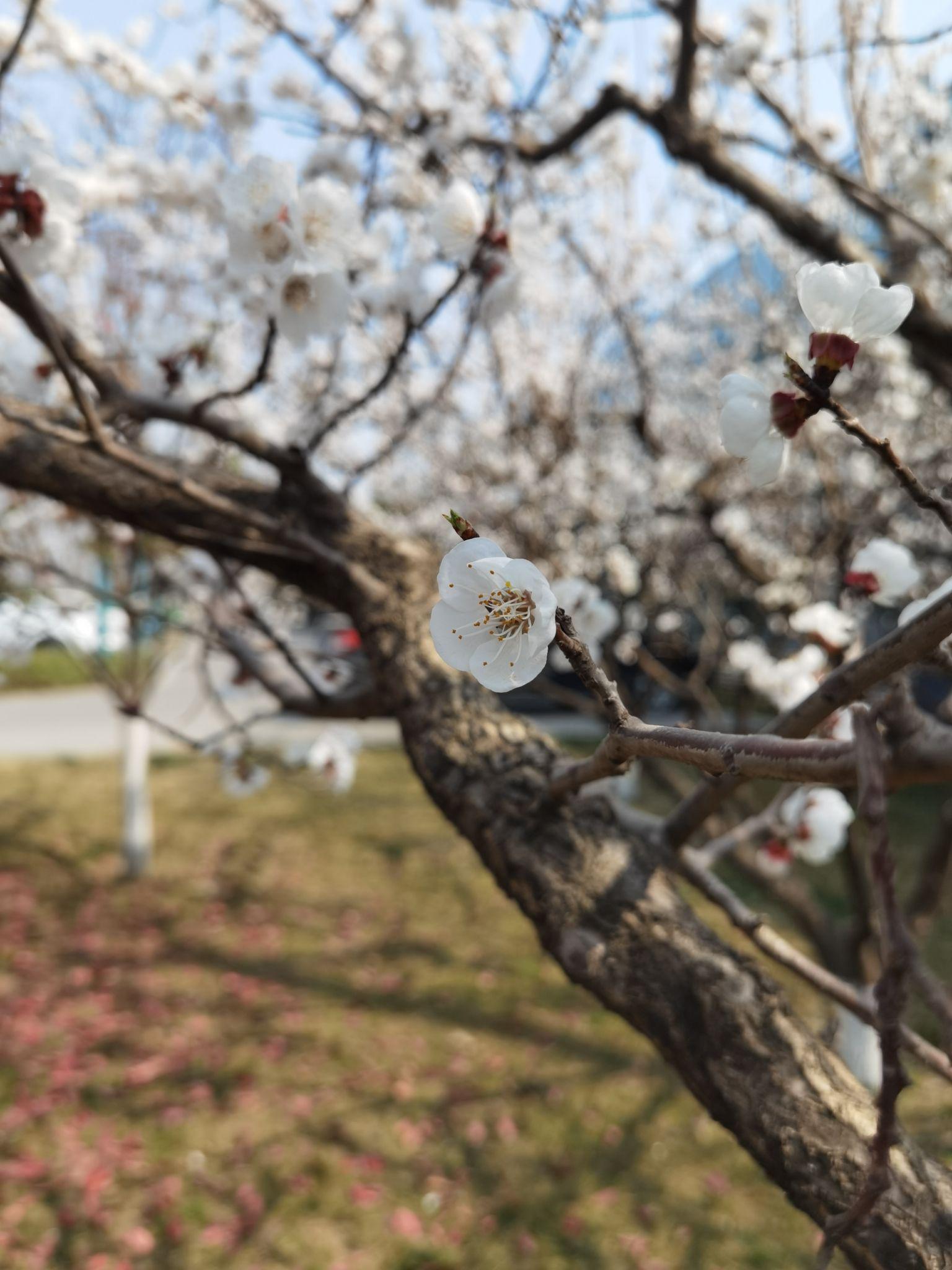 咸阳旅游攻略一日游最佳路线