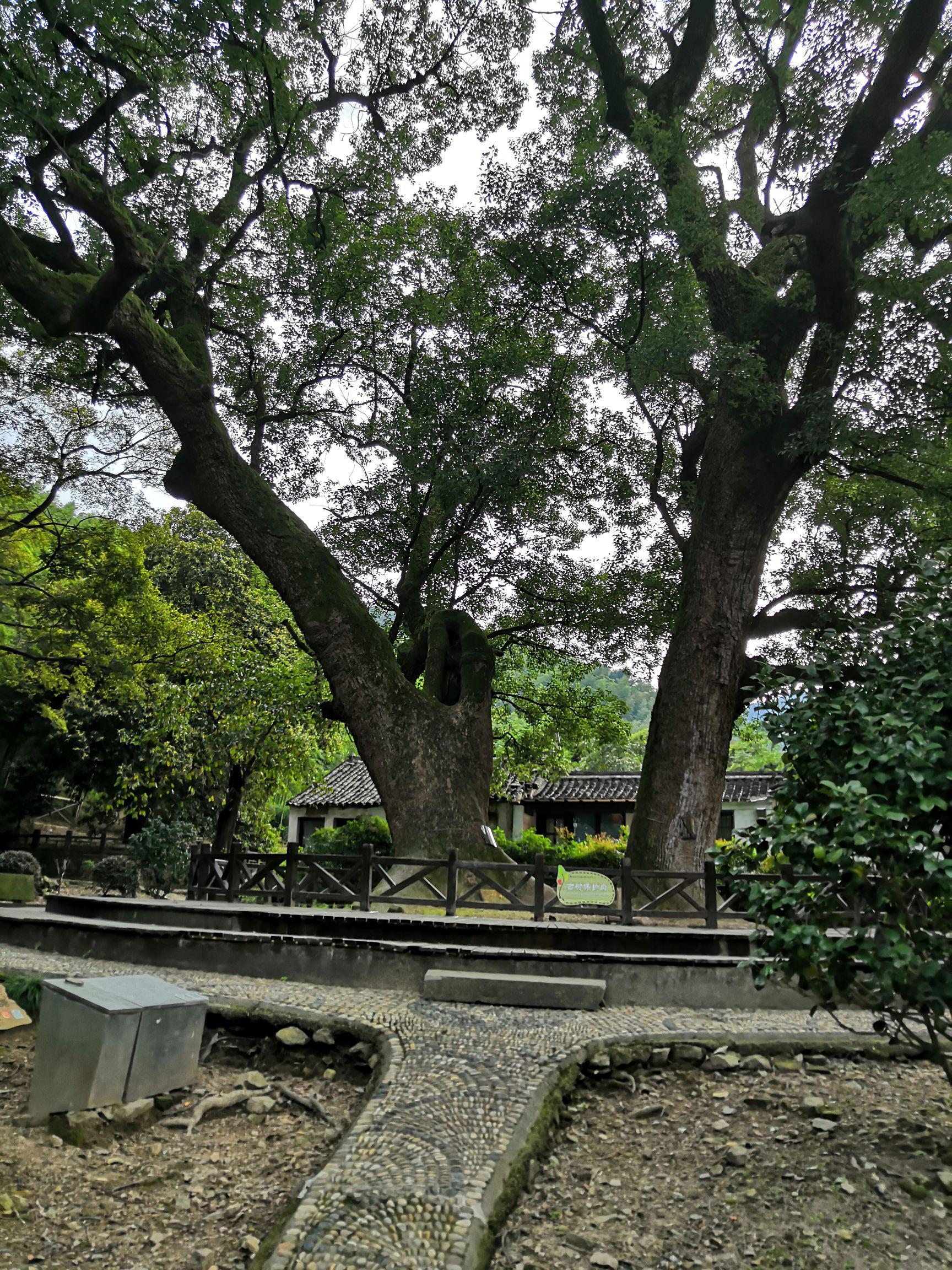 宁波市区景点图片