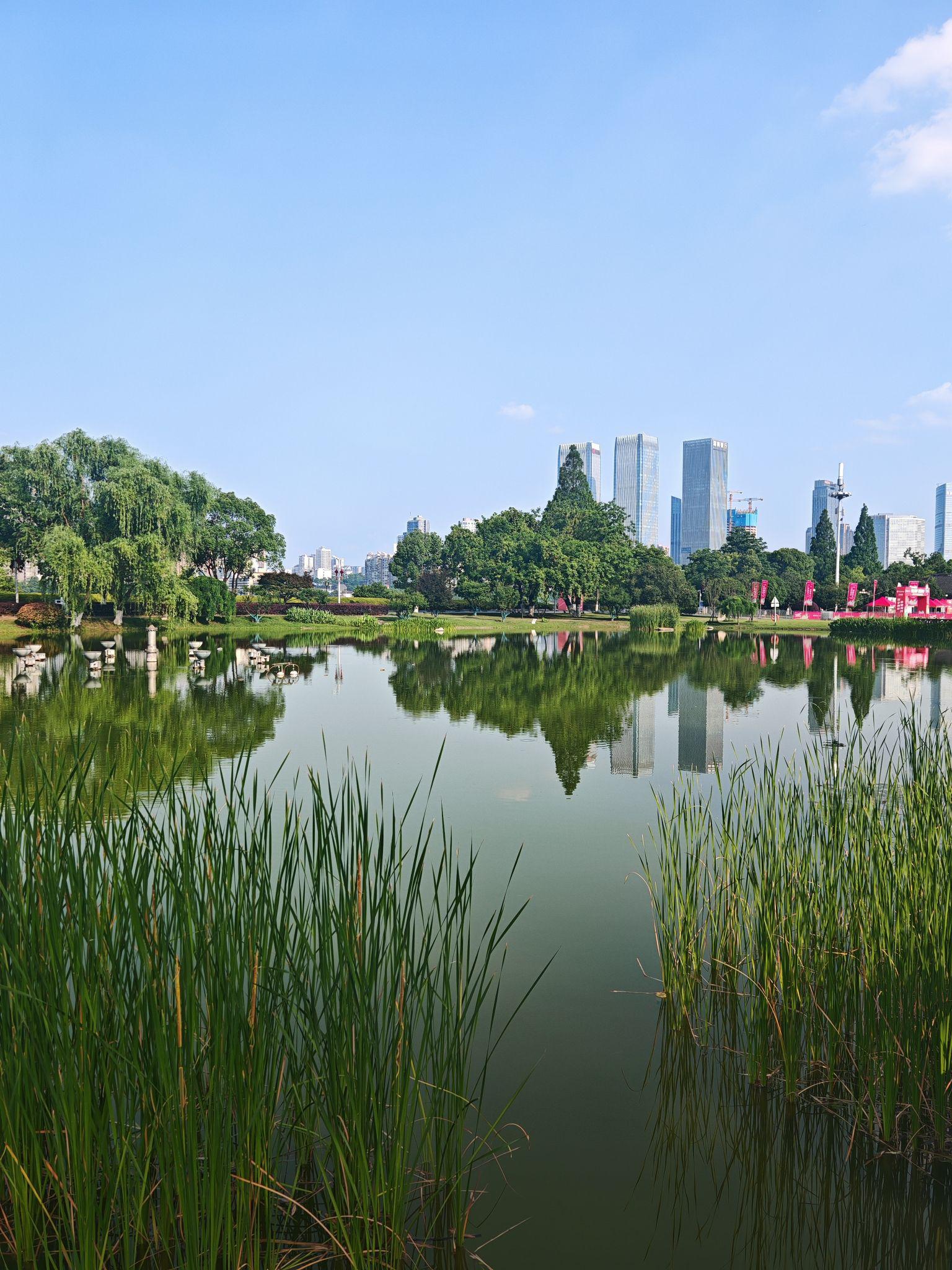 长沙市内风景图片图片