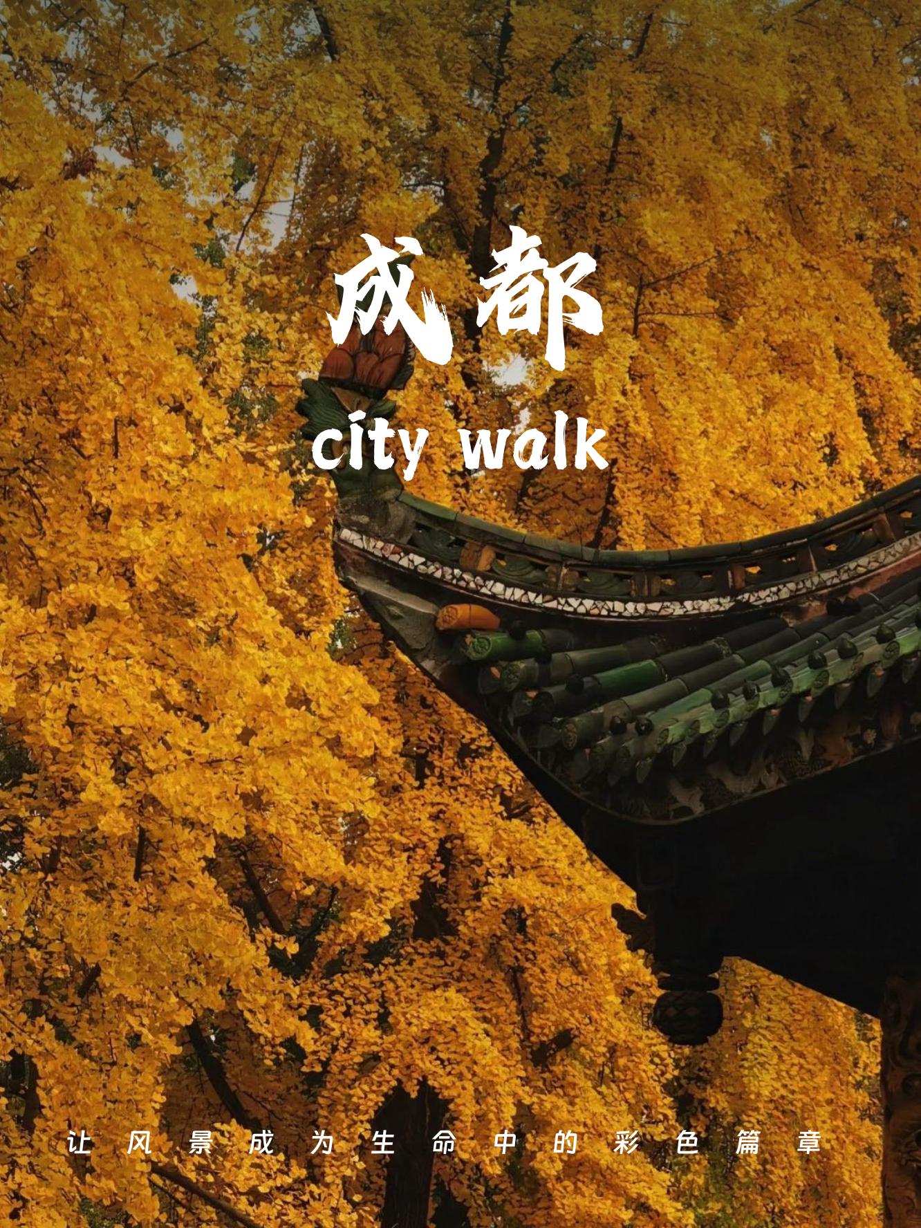 一人带娃一日游成都