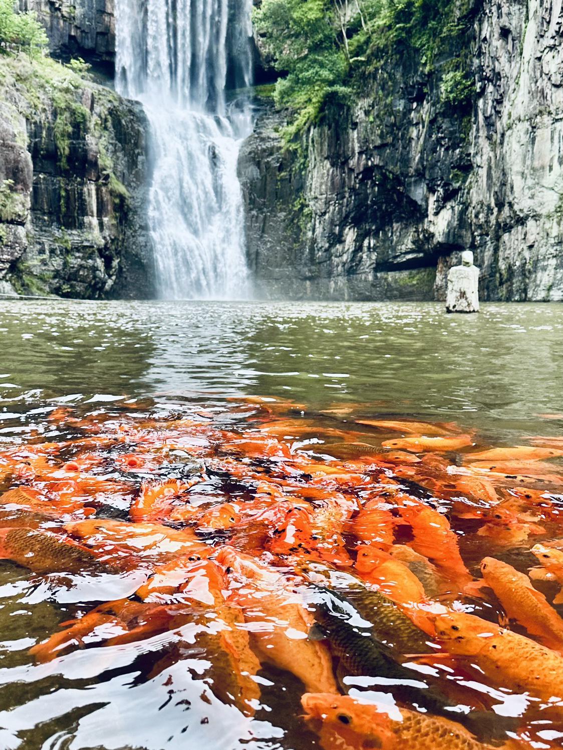 浙江温州旅游景点大全图片(浙江温州旅游景点大全图片介绍)